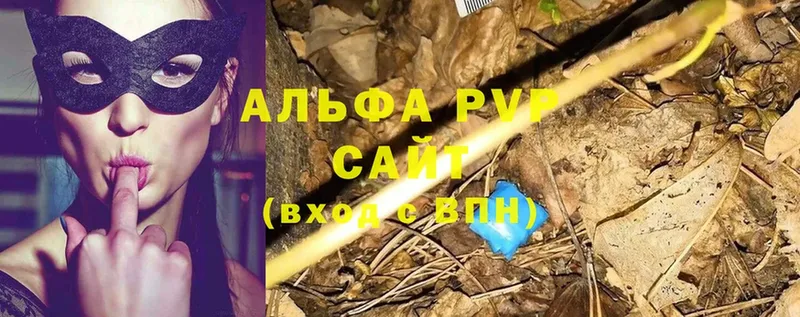 A PVP СК КРИС Бобров