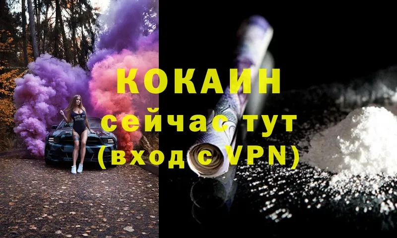 где купить   Бобров  Cocaine Эквадор 