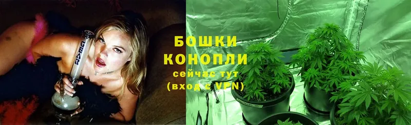 Бошки Шишки THC 21%  Бобров 